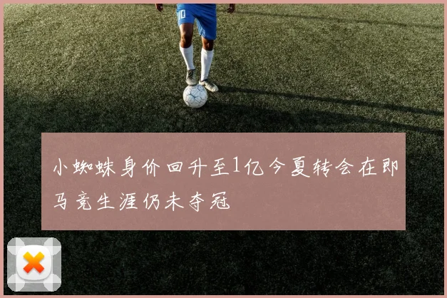小蜘蛛身价回升至1亿今夏转会在即马竞生涯仍未夺冠